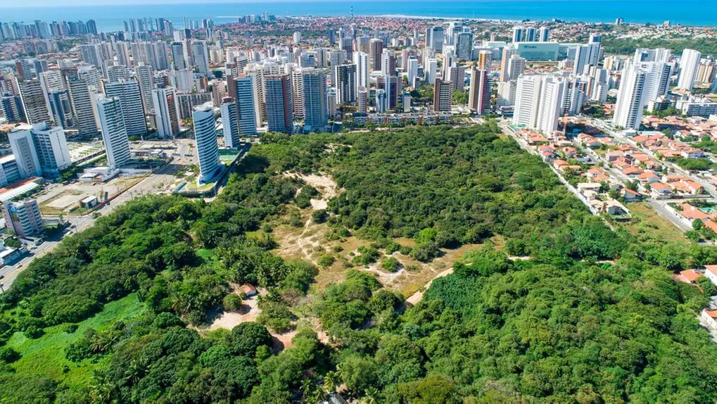 Projeto Despoluir